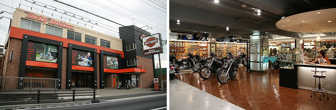 ハーレーインタビューの画像