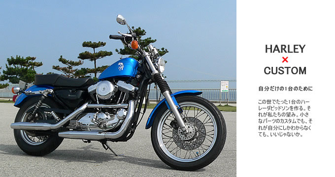 1997年式 スポーツスター XL1200Cのカスタム画像