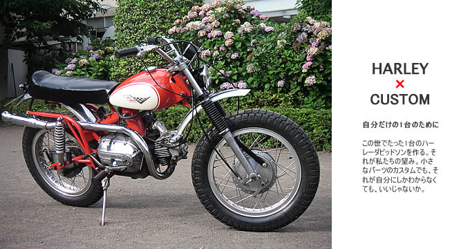 1964年式 旧車 Sprint SS250のカスタム画像