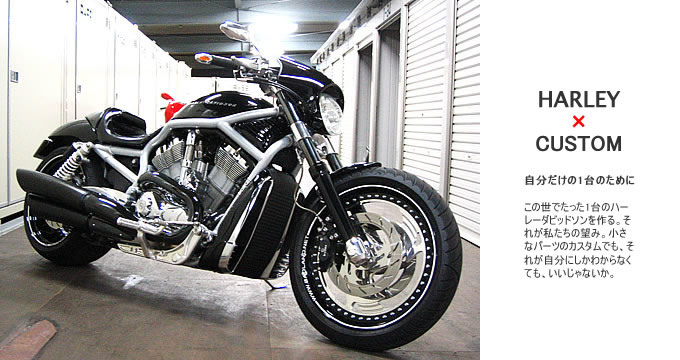 2002年式 V-Rod VRSCAのカスタム画像