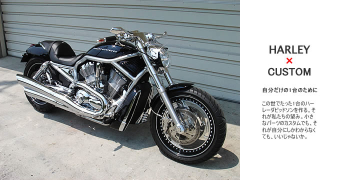 2005年式 V-ROD VRSCAのカスタム画像