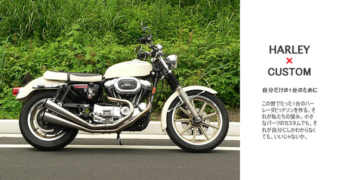 1999年式 スポーツスター XL1200Cのカスタム画像