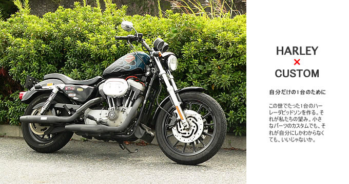 2004年式 スポーツスター XL1200Rのカスタム画像