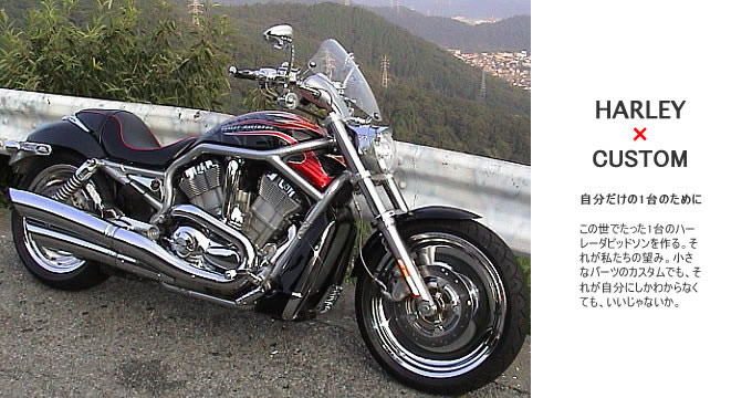 2005年式 V-Rod VRSCAのカスタム画像