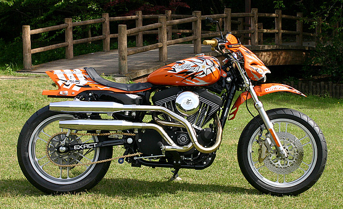 2007年式 スポーツスター XL1200Rのカスタム画像