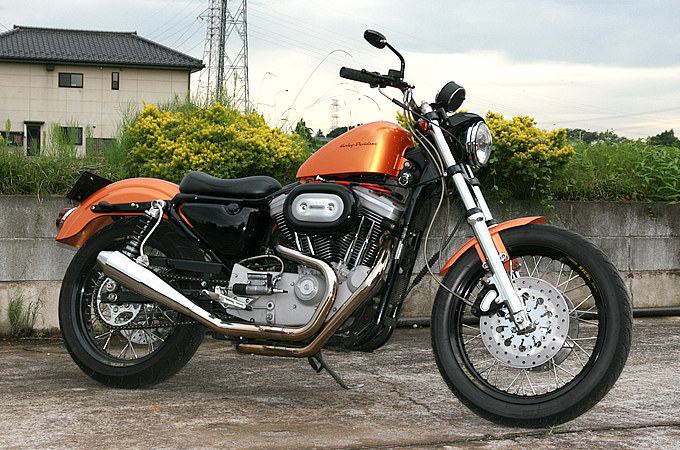 2001年式 スポーツスター XL1200Sのカスタム画像