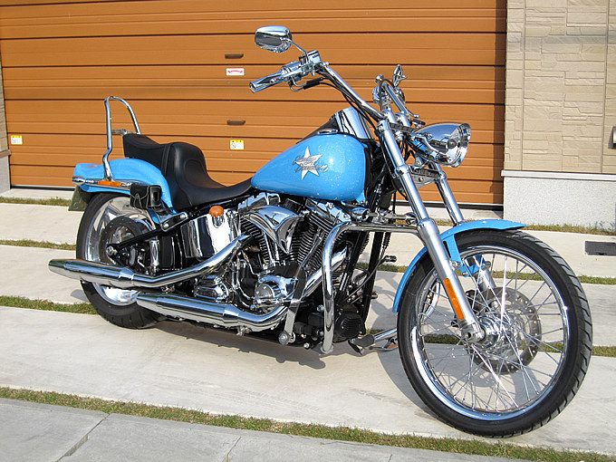 2010 FXSTC