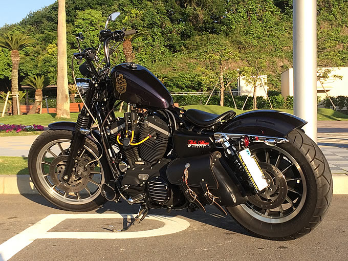 2011年式 スポーツスター XL883Rのカスタム画像