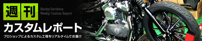 ハーレーカスタムレポートの画像
