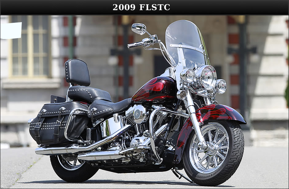 2009 FLSTC
