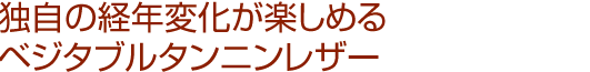カジュアルな印象のオリーブレザーが日本解禁