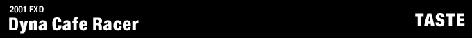2001年式 FXDのフルカスタム画像
