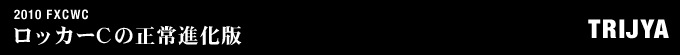 2010年式 FXCWCのフルカスタム画像
