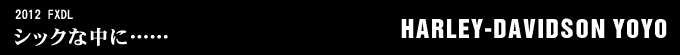 2012年式 FXDLのフルカスタム画像