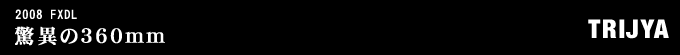 2008年式 FXDLのフルカスタム画像