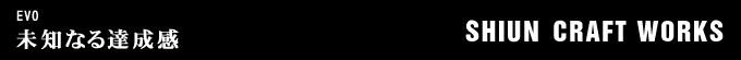 年式不明 EVOのフルカスタム画像