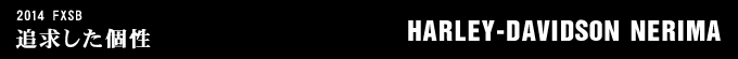 2014年式 FXSBのフルカスタム画像