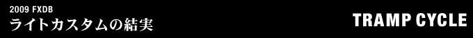 2009年式 FXDBのフルカスタム画像