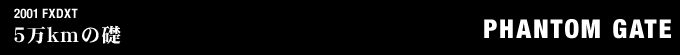 2001年式 FXDXTのフルカスタム画像