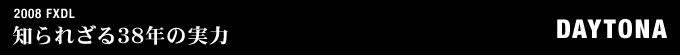 2008年式 FXDLのフルカスタム画像