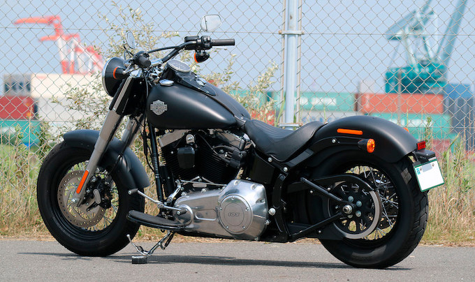 FLS ソフテイル スリムの画像