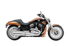 2008年式 V-Rod VRSCAW V-Rodの画像