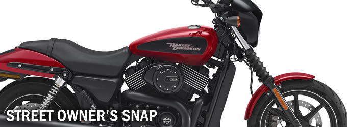 自慢のマイハーレー