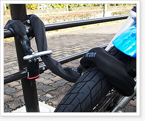 かてーなアルファ