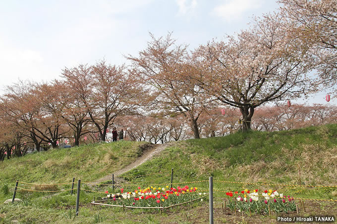 関東スポーツスターミーティングの画像
