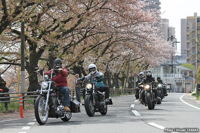 関東スポーツスターミーティングの画像