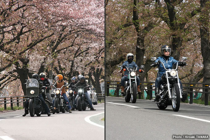 関東スポーツスターミーティングの画像