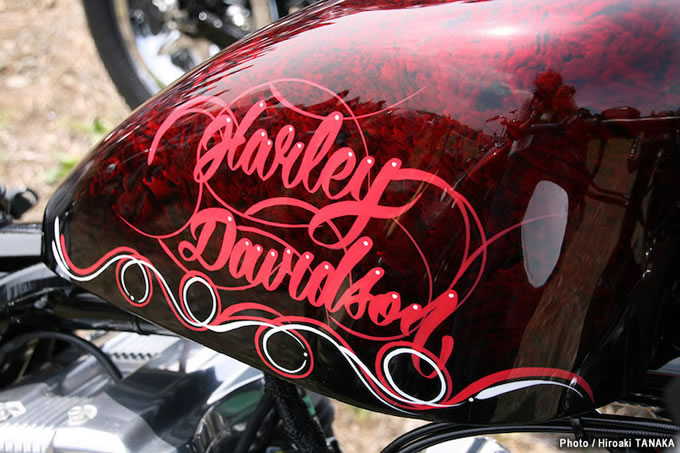 関東スポーツスターミーティングの画像