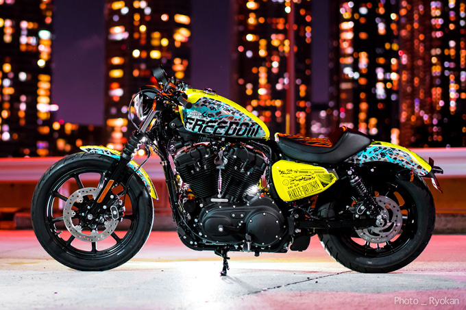 「SEEK for FREEDOM」の画像