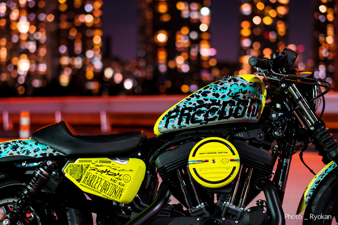 「SEEK for FREEDOM」の画像