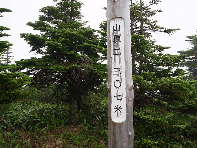 標高2307Mの横手山山頂に到着。つまりラヴピーは日本一標高の高いハーレーミーティングなのだ。
