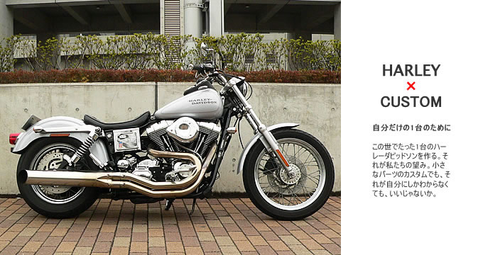 ハーレー　2002年式　ダイナ　FXDL ローライダーのマフラー ハーレー 2002年式 ダイナ FXDL ローライダーのマフラー 2002年
