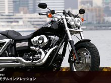 2008年モデル FXDF ファット・ボブに注目の画像