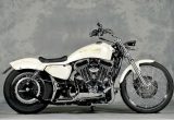 2006 XL1200L / DASHの画像