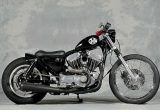 2001 XL883 / GUTS CHROMEの画像