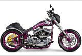 2008 SPORTSTER / MAIDS MOTORCYCLESの画像