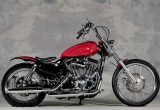 2009 XL1200C / NARUKAWAの画像