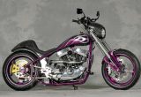 2008 SPORTSTER / MAIDS MOTORCYCLESの画像