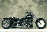 2002 FXSTB / RS HIROHASHIの画像