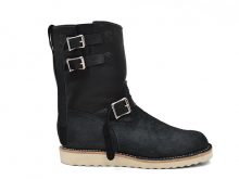 2016 JAPAN LIMITED MODELの画像