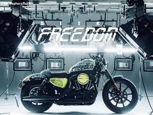 【HARLEY-DAVIDSON × GraphersRock】4/24渋谷にてコラボデザイン・アイアン1200お披露目！の画像