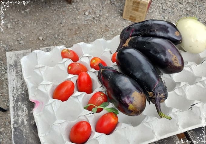 現役ナースの“うっふ～ん”ナイトスター★ライフ　【第八回｜卵を求めて片道4時間！ 花子、夏に欲張る。走って、食べて、満たされて♡】画像31