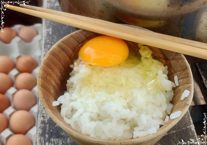 現役ナースの“うっふ～ん”ナイトスター★ライフ　【第八回｜卵を求めて片道4時間！ 花子、夏に欲張る。走って、食べて、満たされて♡】画像35
