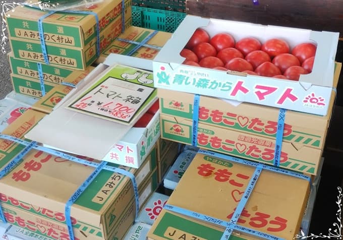 現役ナースの“うっふ～ん”ナイトスター★ライフ　【第八回｜卵を求めて片道4時間！ 花子、夏に欲張る。走って、食べて、満たされて♡】画像37