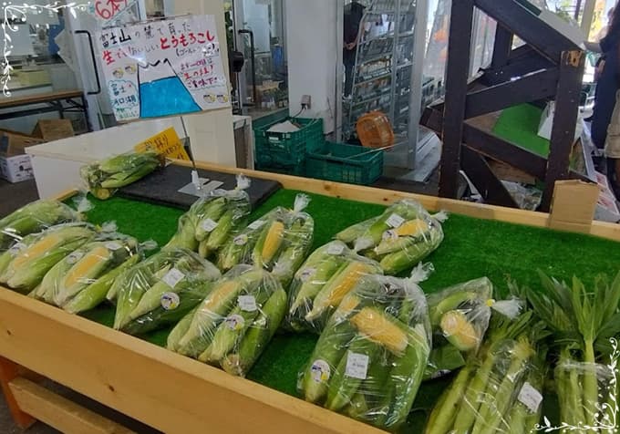 現役ナースの“うっふ～ん”ナイトスター★ライフ　【第八回｜卵を求めて片道4時間！ 花子、夏に欲張る。走って、食べて、満たされて♡】画像38