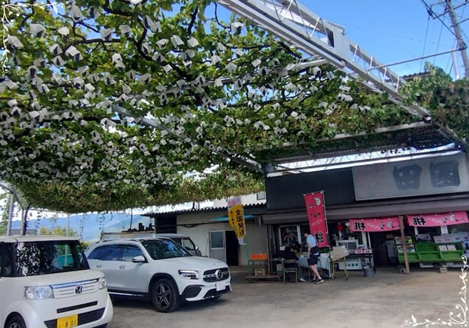 現役ナースの“うっふ～ん”ナイトスター★ライフ　【第八回｜卵を求めて片道4時間！ 花子、夏に欲張る。走って、食べて、満たされて♡】画像43